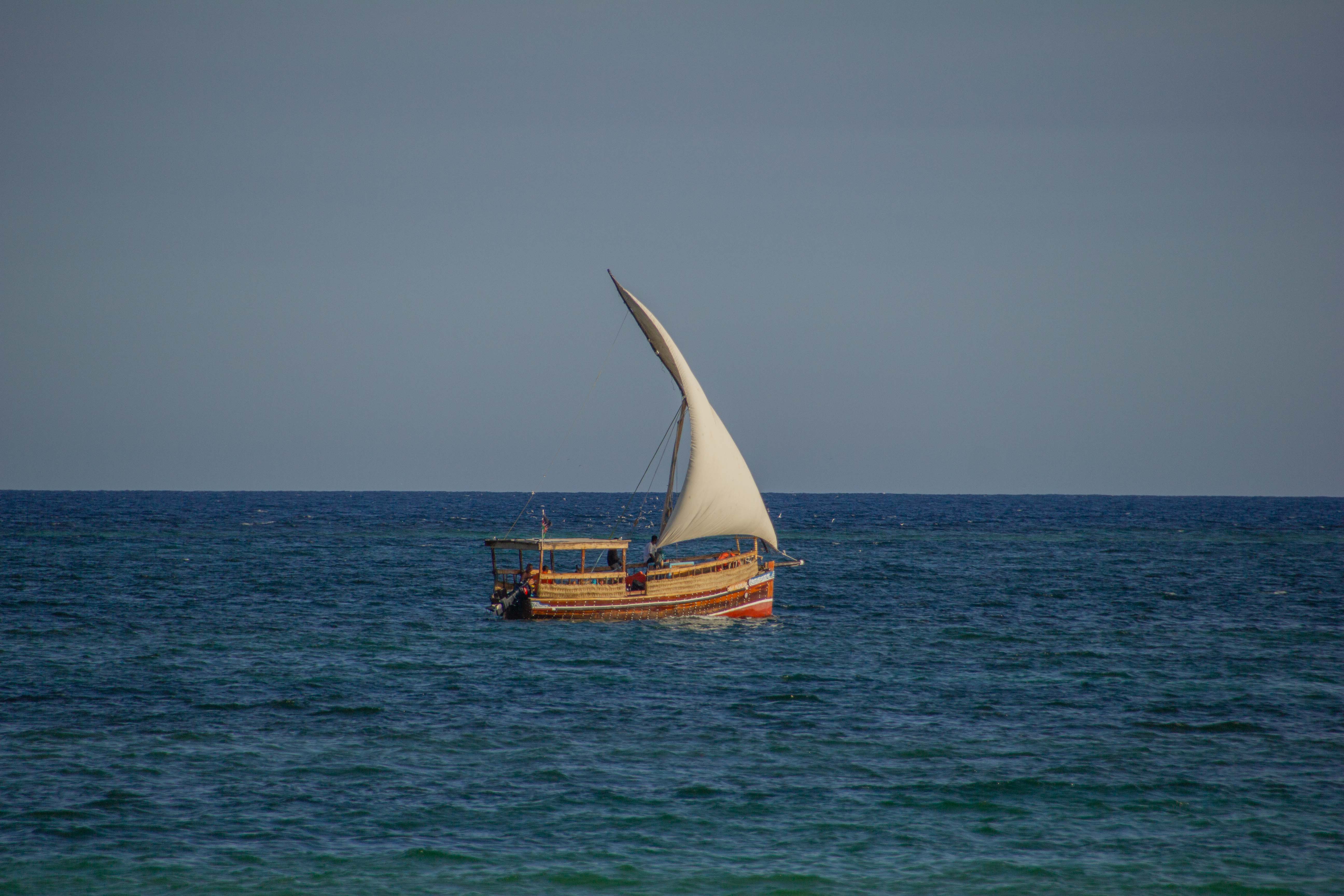 IMG_2254.jpg