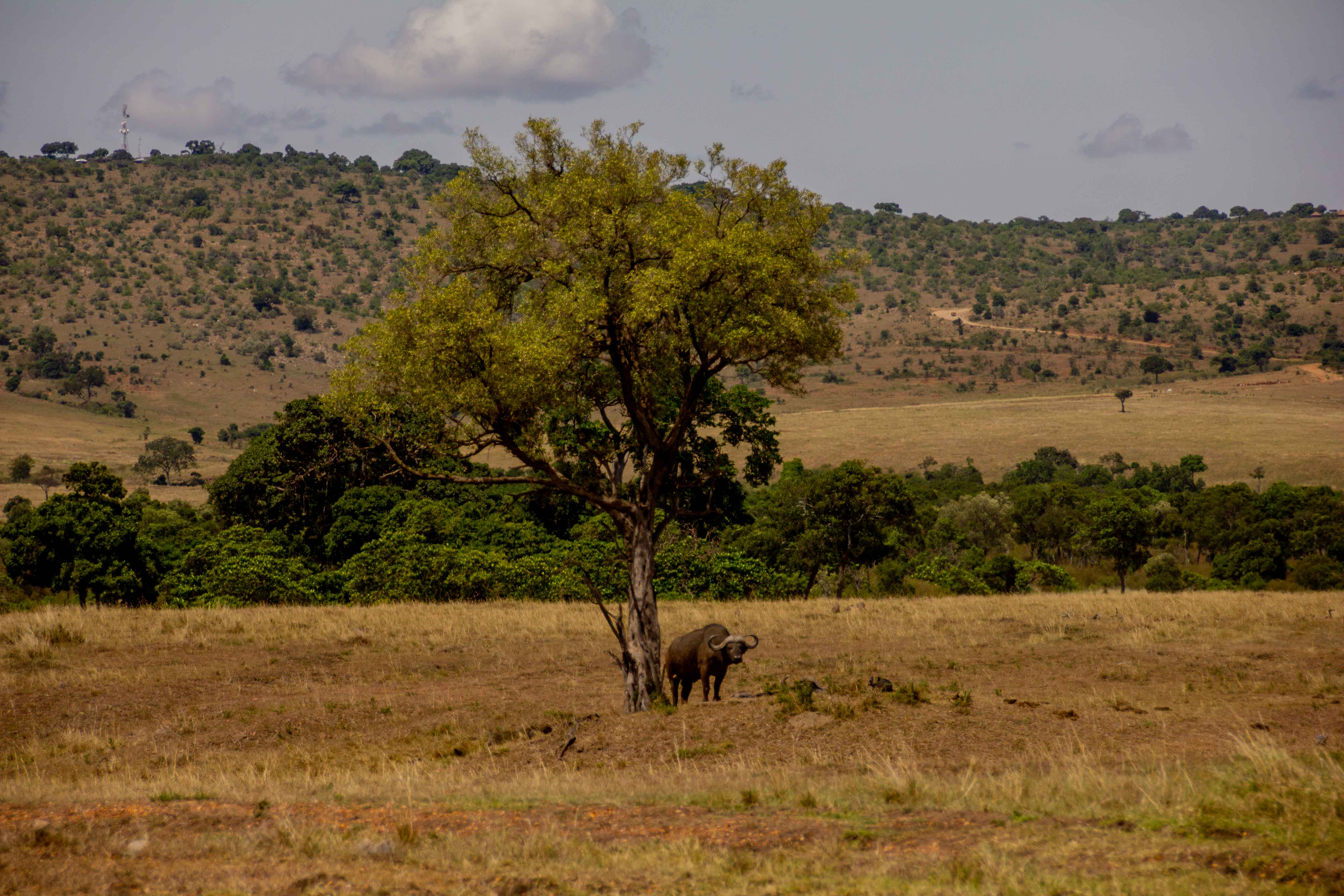 IMG_3304.jpg
