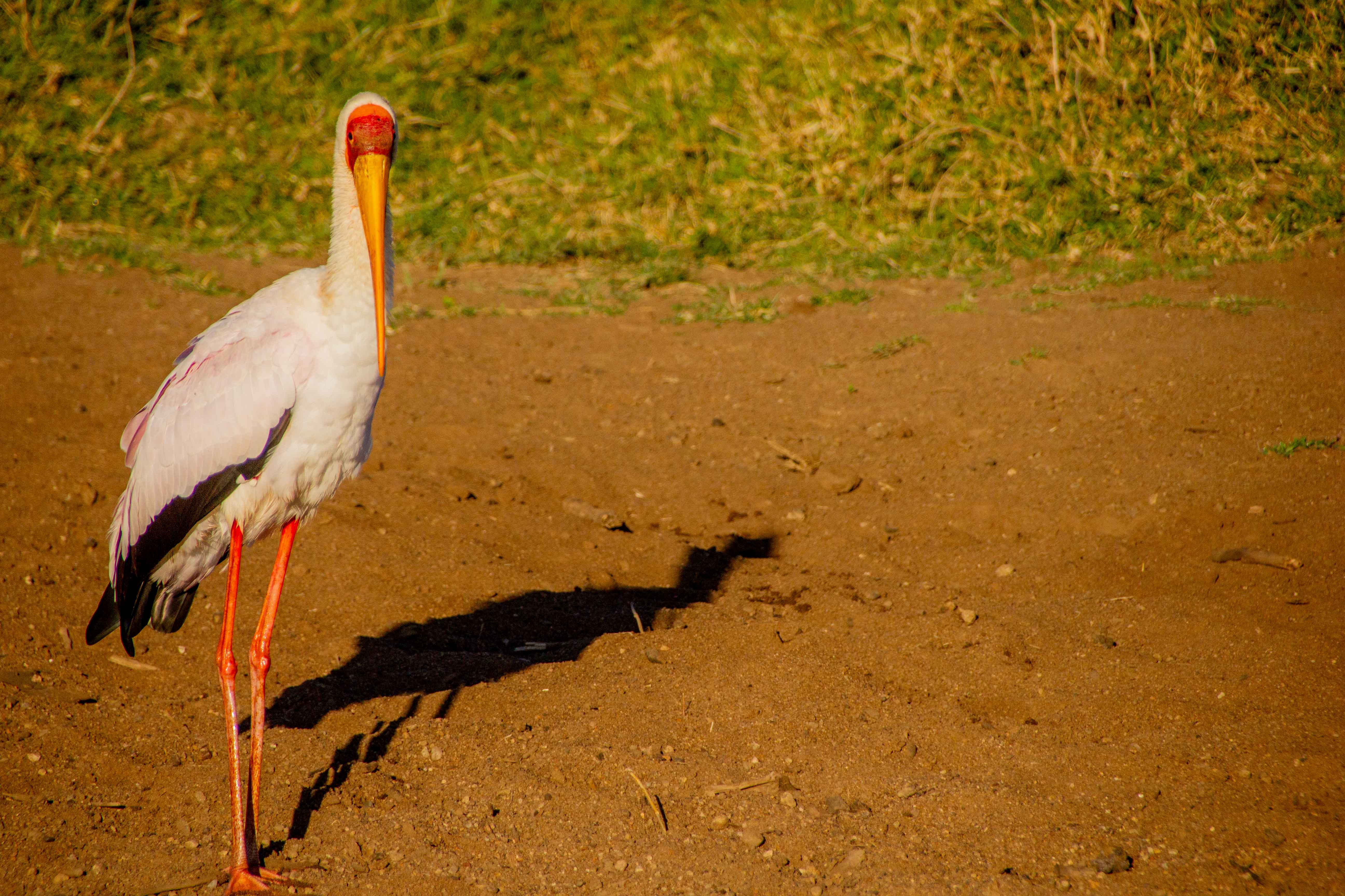 IMG_3903.jpg