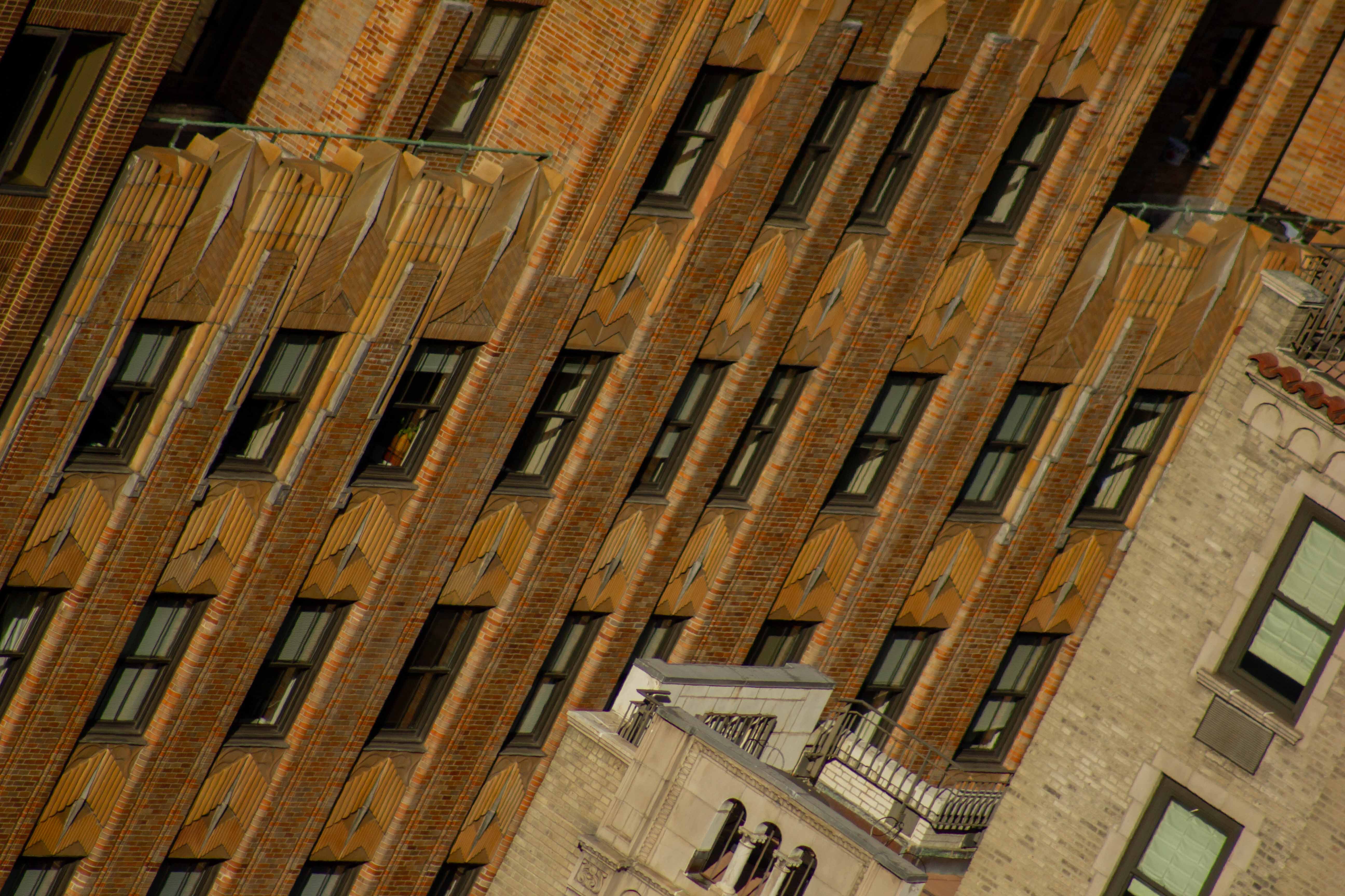 IMG_8682.jpg