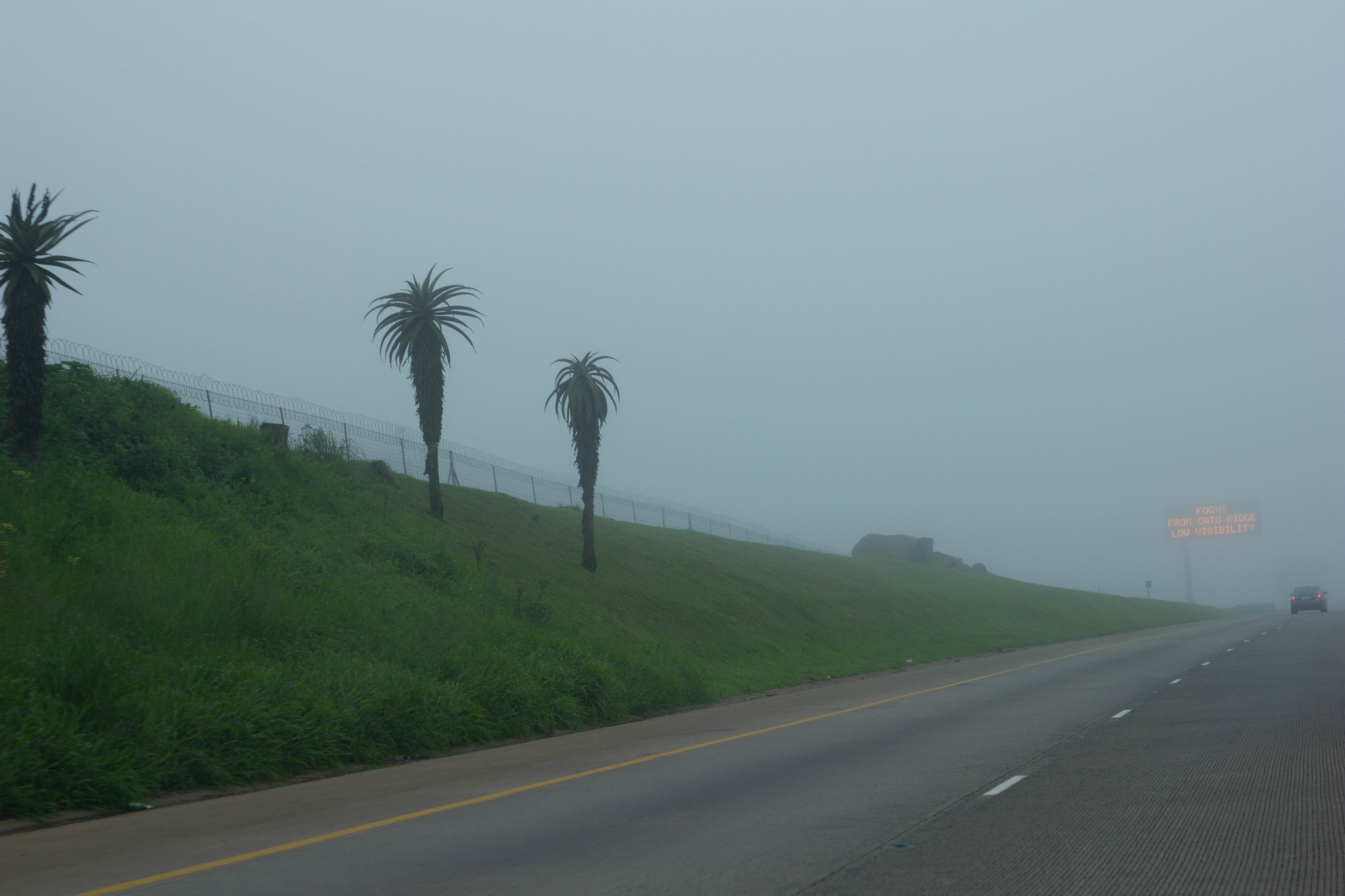 South Africa 2010